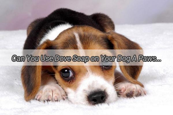 Can You Use Dove Soap on Your Dog A Pawsitively Gentle Guide